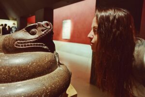 snakes-and-venomous-snakes-in-the-uk